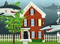 How to spot a property spruiker shark